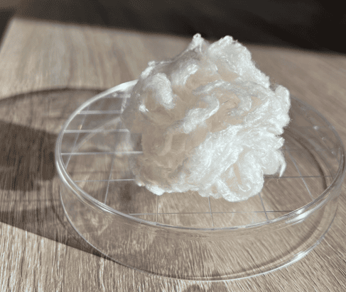 CMPC Ventures apuesta por Rubi, startup que convierte CO₂ en fibras textiles sostenibles