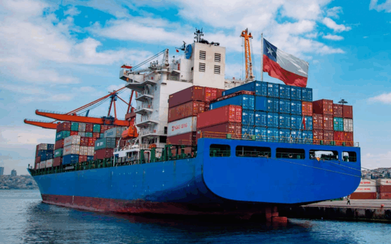 Chile lidera el comercio mundial con 24 productos en 2024, según informe de Subsecretaría de Relaciones Económicas Internacionales