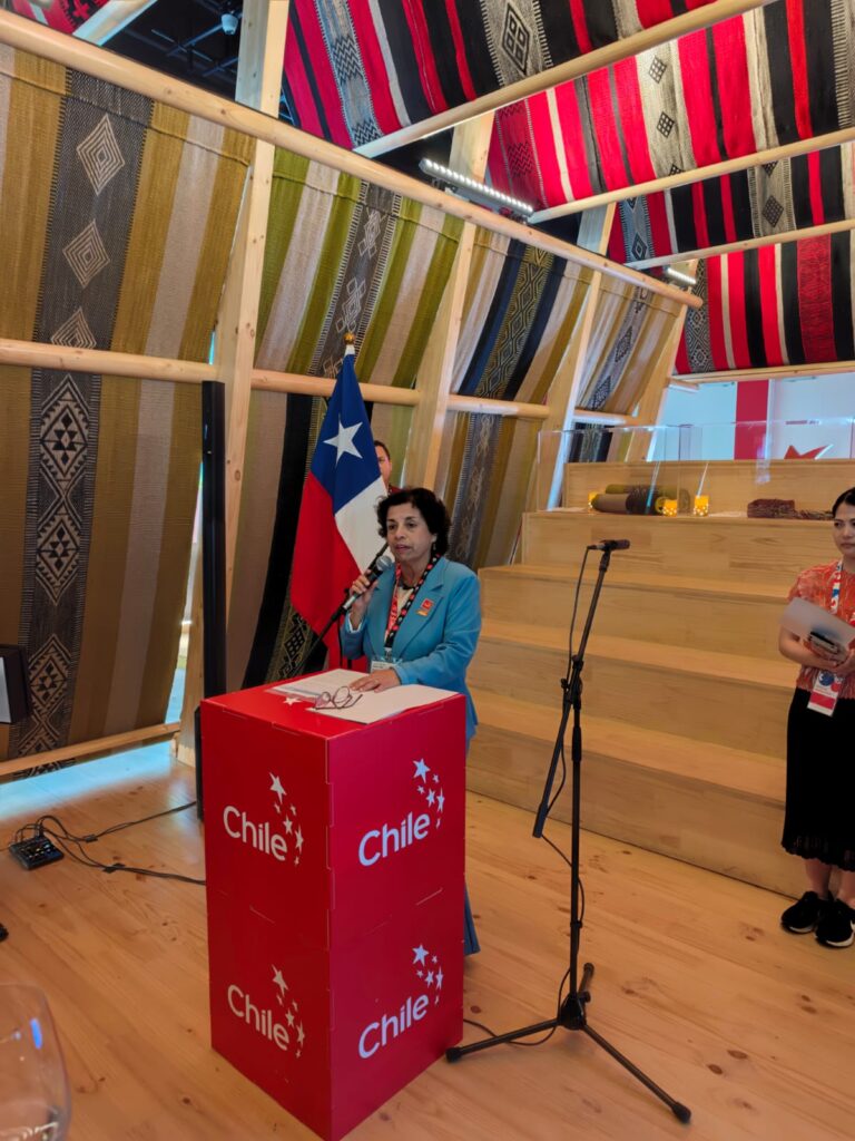 Ministra de Minería.