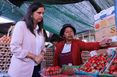 Agricultura destaca avances en control de ingreso ilegal y erradicación de mosca de la fruta en Arica