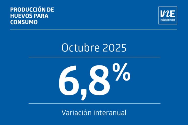 Producción de huevos sube 6,8% y marca fuerte repunte en octubre
