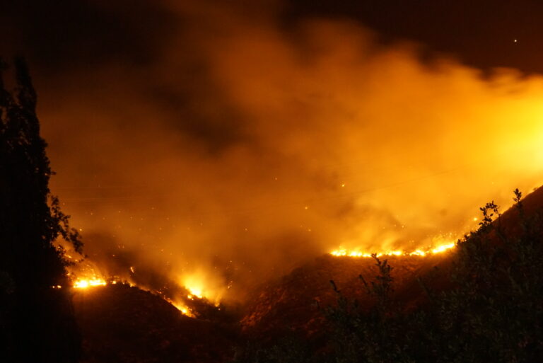 Incendios en Penco alcanzan sectores del Fundo Coihueco en medio de disputa por proyecto de tierras raras