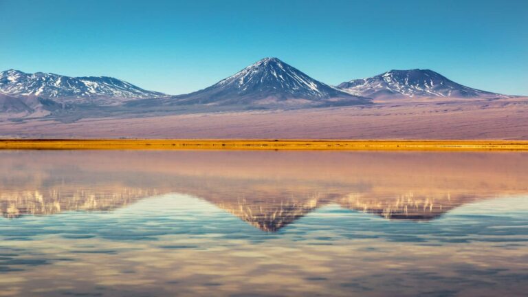 Wealth Minerals obtiene luz verde para avanzar en proyecto de litio en Ollagüe