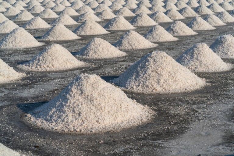 Aportes del litio a la Corfo se disparan un 427% durante el primer semestre