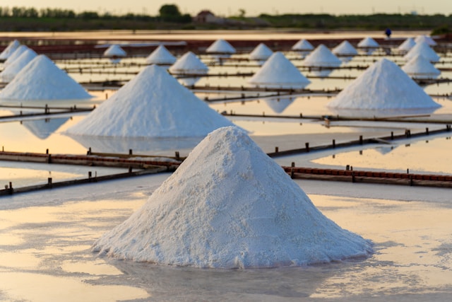 Ganfeng y Lithium Argentina acuerdan joint venture para megayacimiento de litio