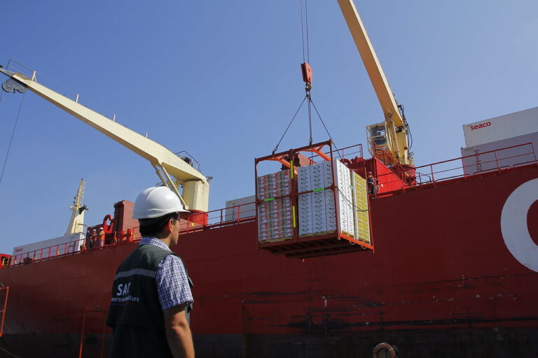 Chile y China acuerdan nuevas medidas para facilitar exportaciones de fruta fresca