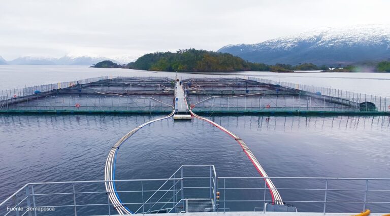 SMA aprueba seis Programas de Cumplimiento para centros de cultivo de salmones